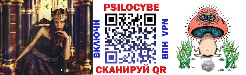 Псилоцибиновые грибы Psilocybe  blacksprut как зайти  дарк нет клад  Кинель 